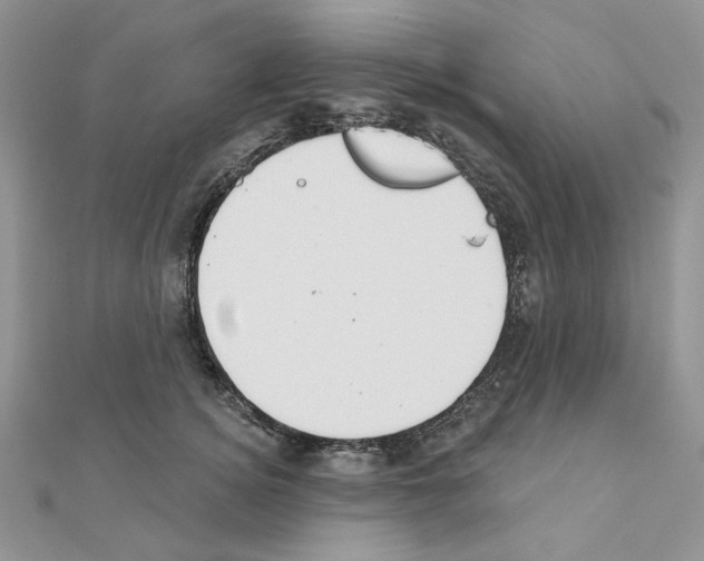 X0000110980756200907310949