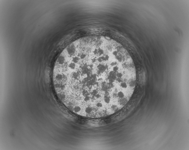 X0000110980757200907310949