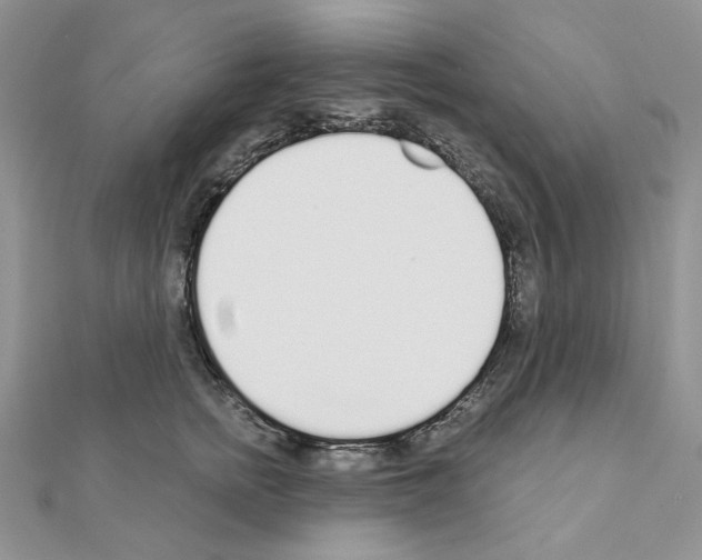 X0000110980758200907310949