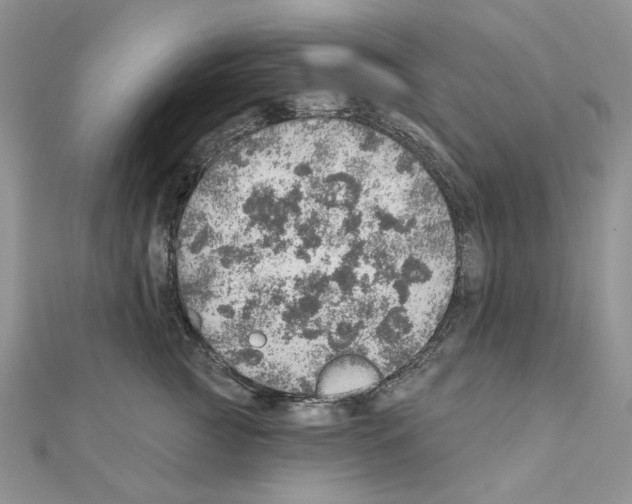 X0000110980761200907310949