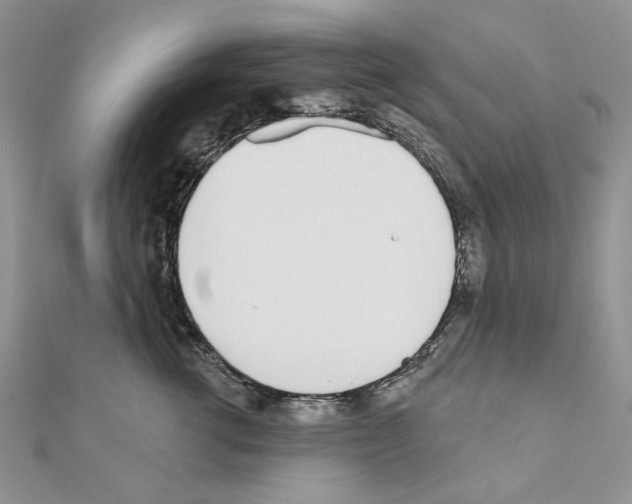 X0000110980762200907310949