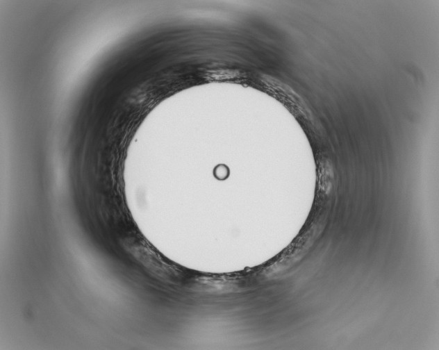 X0000110980763200907310949