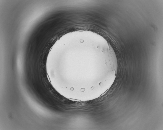 X0000110980764200907310949