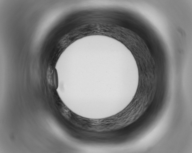 X0000110980766200907310949