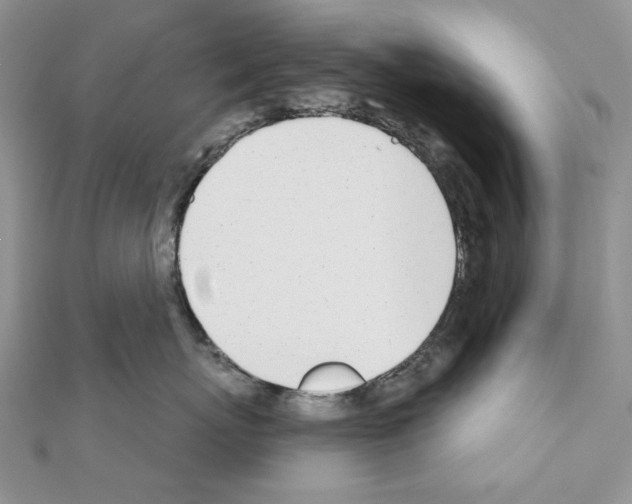 X0000110980767200907310949
