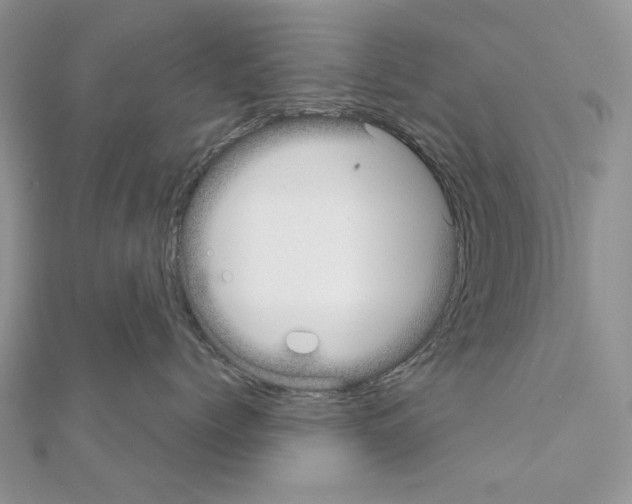 X0000110980768200907310949