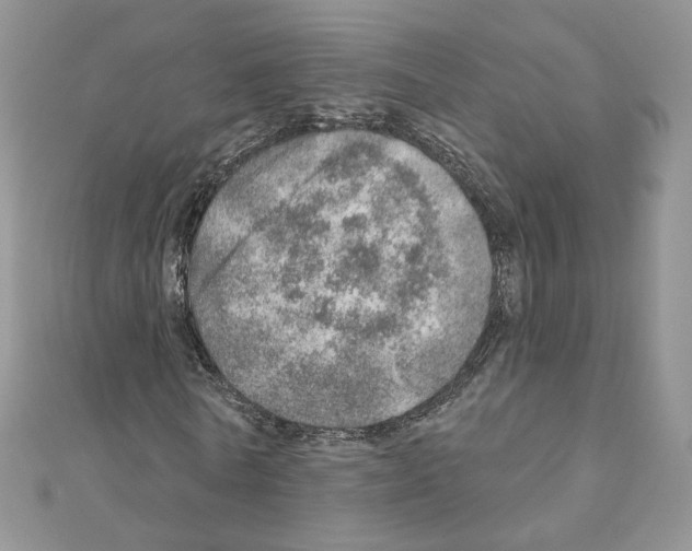 X0000110980770200907310948