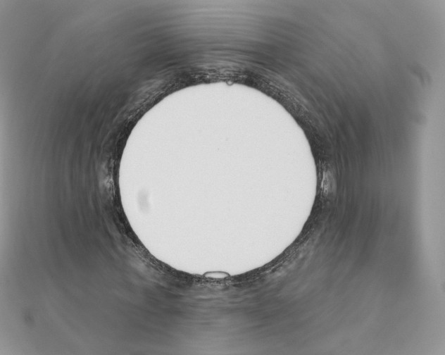X0000110980771200907310948
