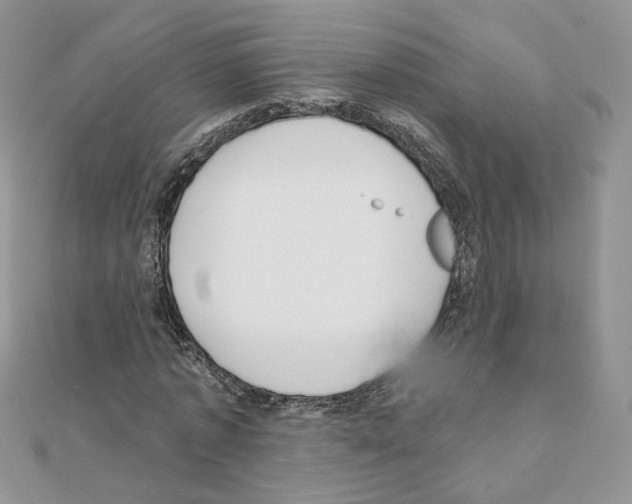 X0000110980773200907310948