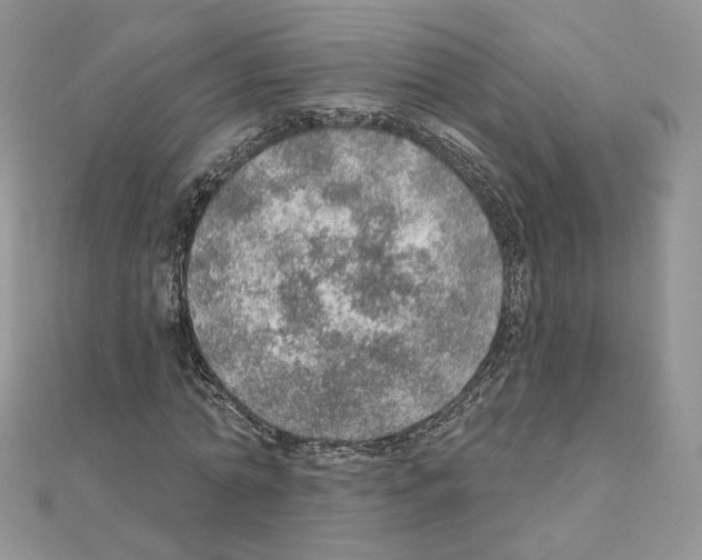 X0000110980774200907310948