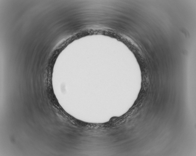 X0000110980775200907310948