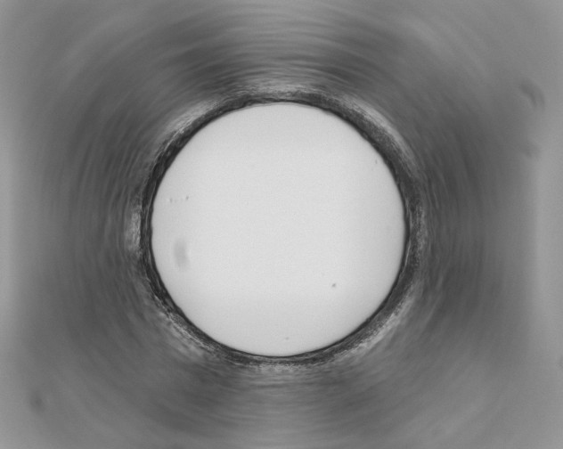 X0000110980777200907310948