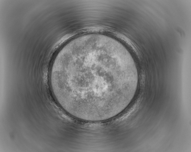 X0000110980778200907310948
