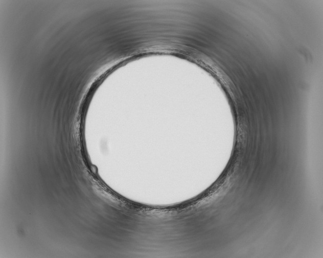 X0000110980779200907310948