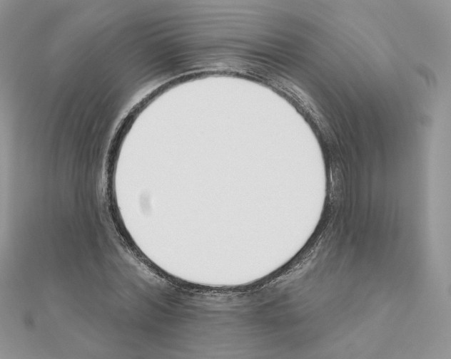 X0000110980780200907310948