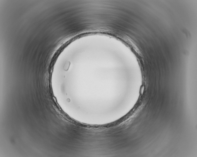X0000110980781200907310948