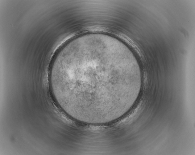 X0000110980782200907310948