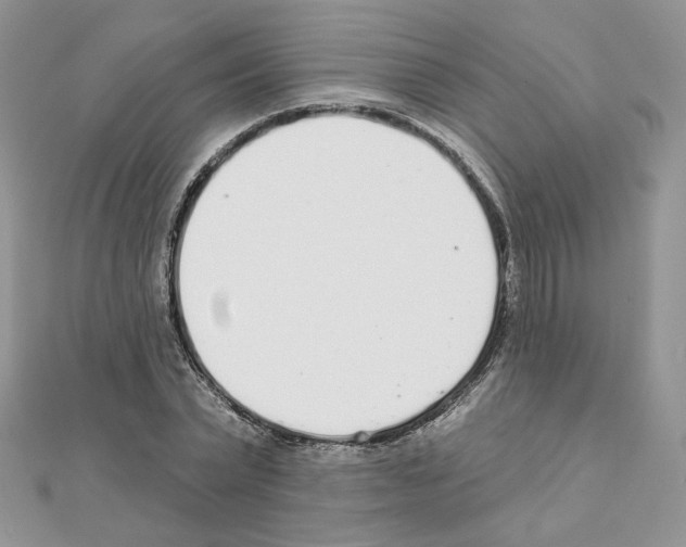 X0000110980783200907310948