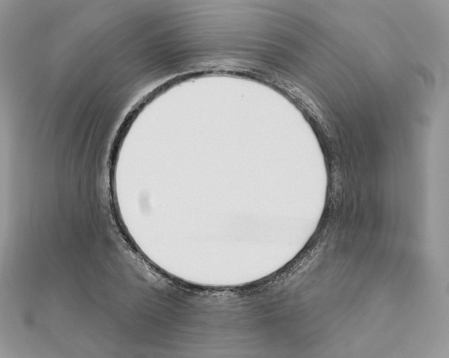 X0000110980784200907310948