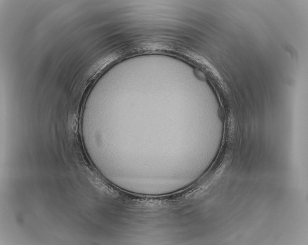 X0000110980785200907310948