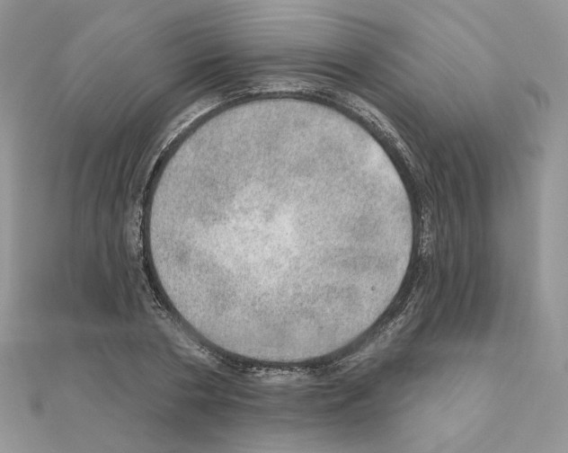 X0000110980786200907310948