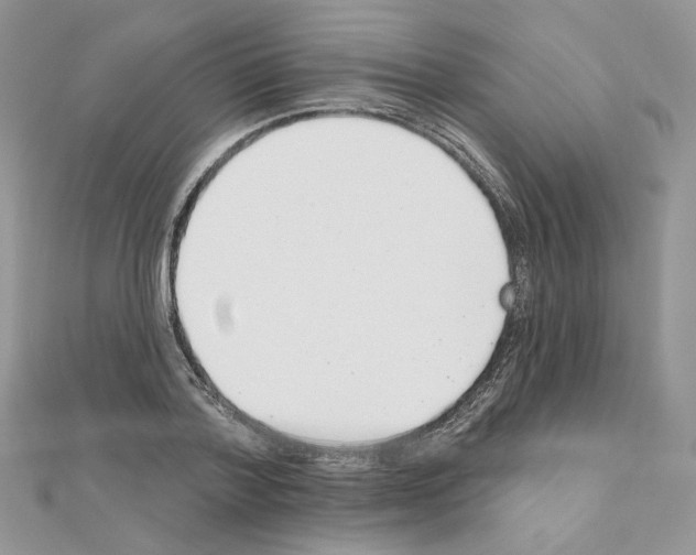 X0000110980788200907310948