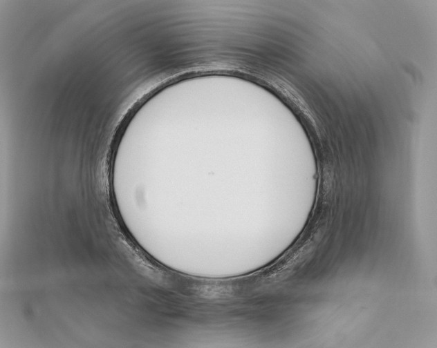 X0000110980789200907310948