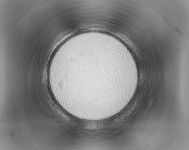 X0000110980790200907310948