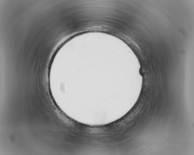 X0000110980792200907310948