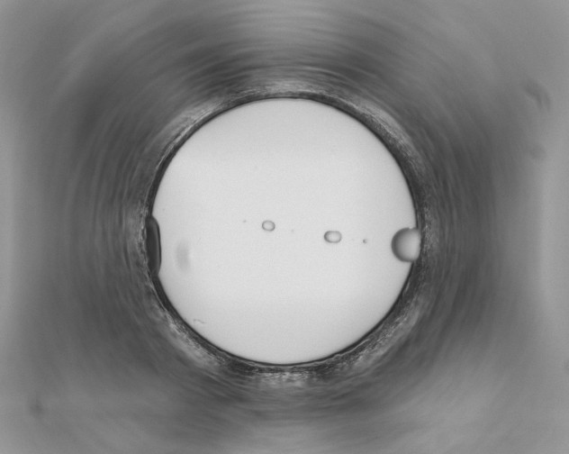 X0000110980793200907310948