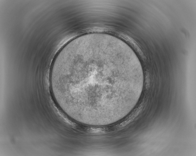 X0000110980794200907310948