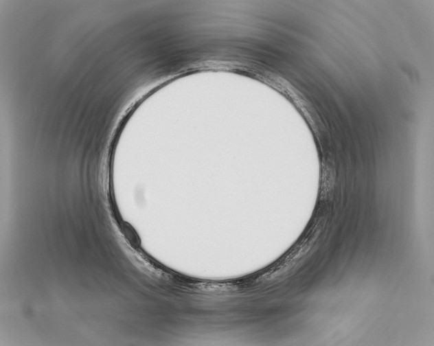 X0000110980795200907310948