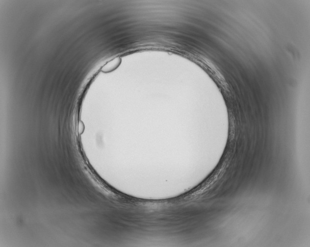 X0000110980796200907310948