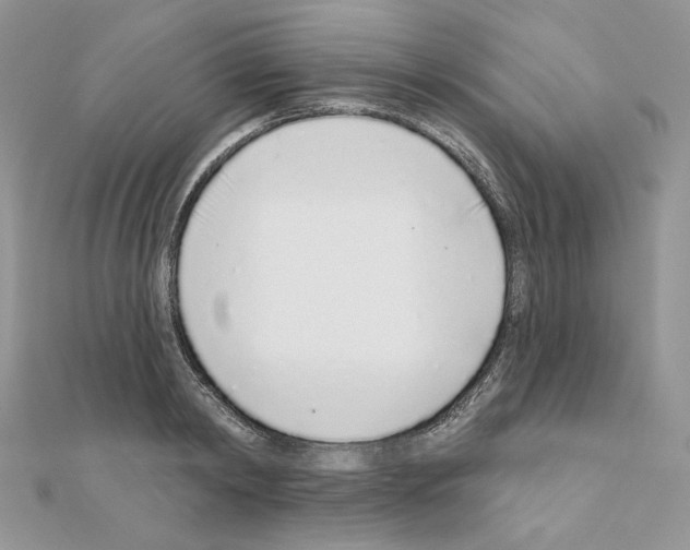 X0000110980798200907310948