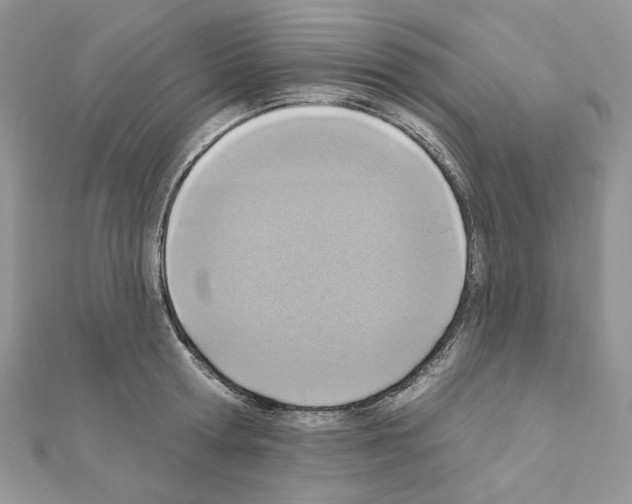 X0000110980802200907310948