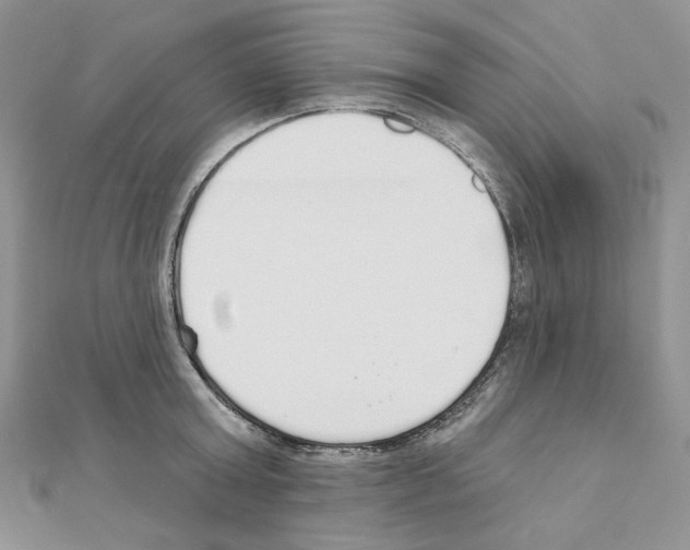 X0000110980803200907310948