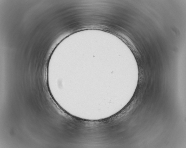 X0000110980804200907310948