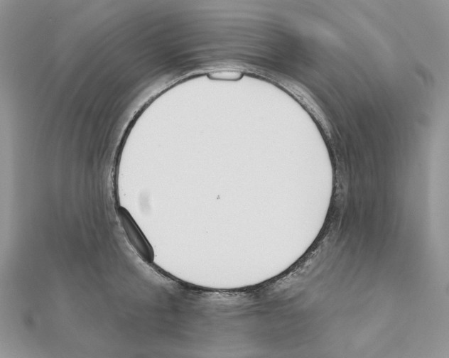 X0000110980805200907310948