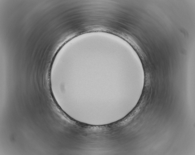 X0000110980806200907310948