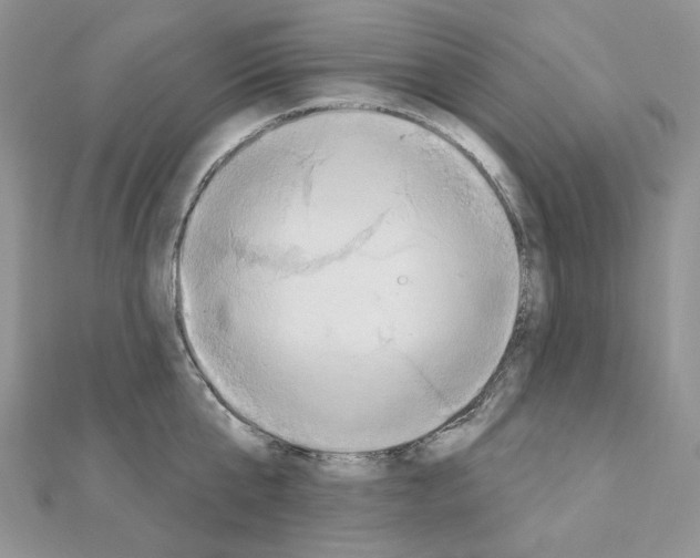 X0000110980807200907310948