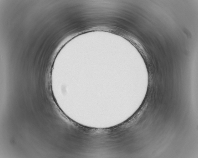 X0000110980808200907310948