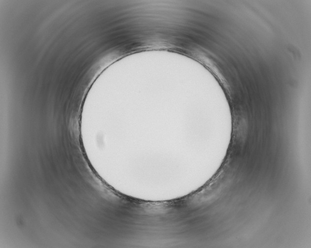 X0000110980810200907310948