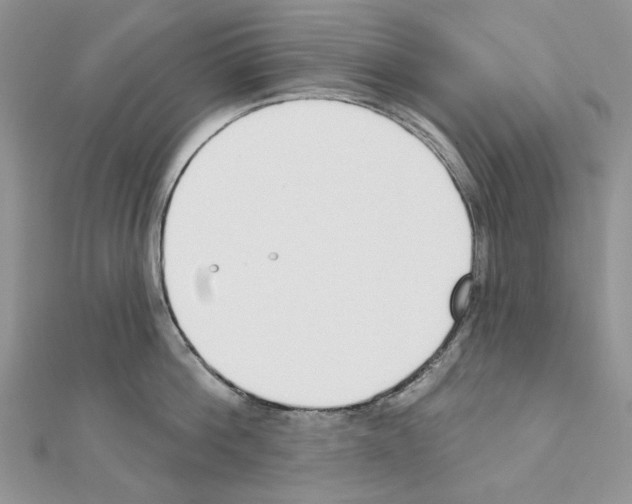 X0000110980812200907310948