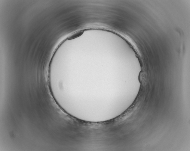 X0000110980815200907310948
