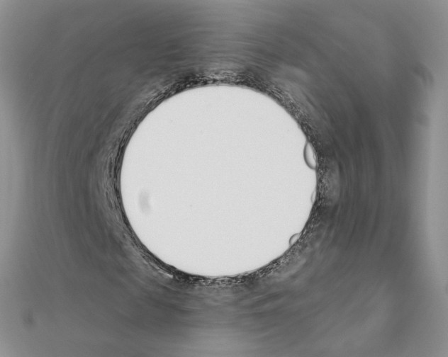 X0000110980817200907310947