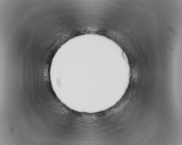 X0000110980818200907310947