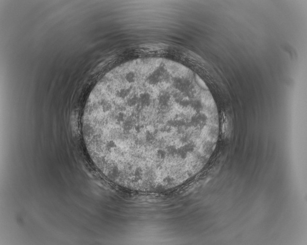 X0000110980819200907310947