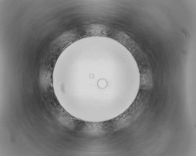 X0000110980820200907310947