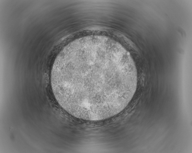 X0000110980821200907310947