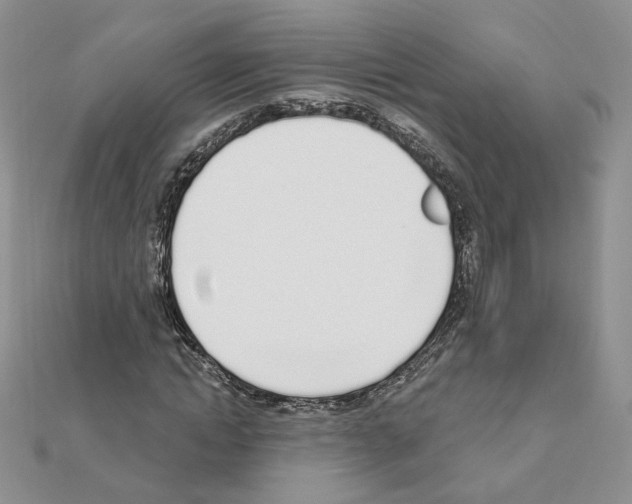 X0000110980822200907310947